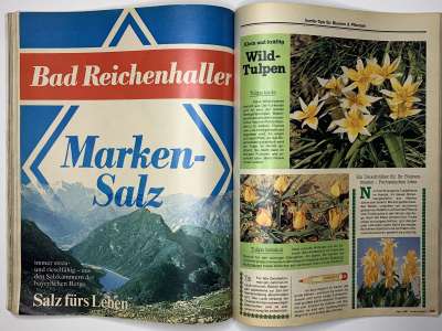 ���������� �85 ������� Burda 4/1980