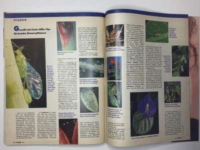 ���������� �43 ������� Burda 1/1993