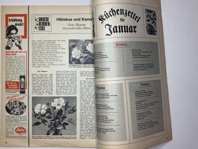 ���������� �40 ������� Burda 1/1967