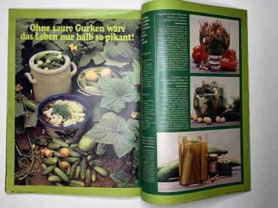 ���������� �51 ������� Burda 8/1977