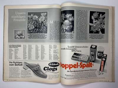 ���������� �31 ������� Burda 8/1971