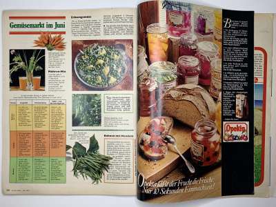 ���������� �74 ������� Burda 6/1976