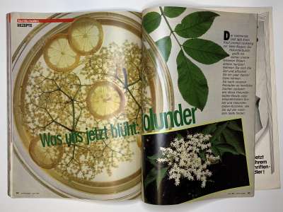 ���������� �42 ������� Burda 6/1984