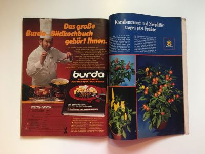 ���������� �44 ������� Burda 11/1972